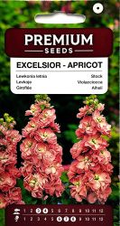 Stock Excelsior Apricot Seeds